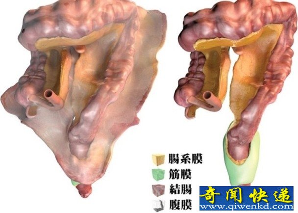 廹δ оײ