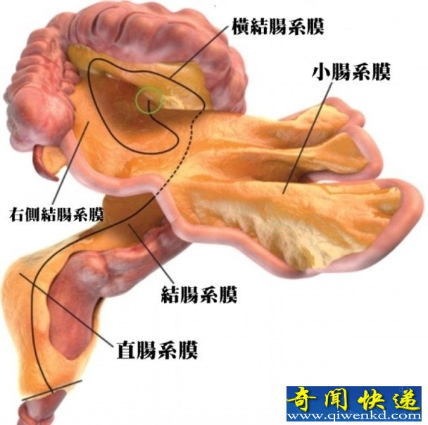 廹δ оײ