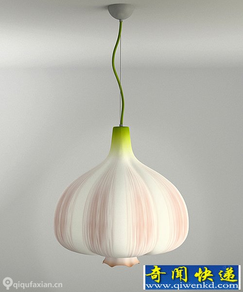 Garlic Lamp 컨ϵġ⡱ ɫĵ