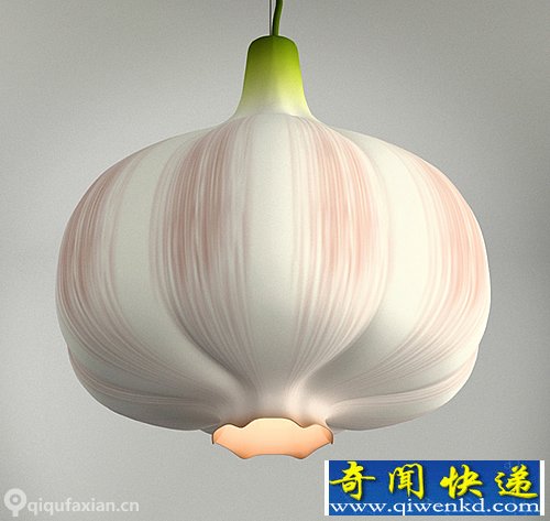 Garlic Lamp 컨ϵġ⡱ ɫĵ