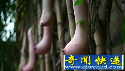 越南现神秘瓜类：外形竟似女子乳房