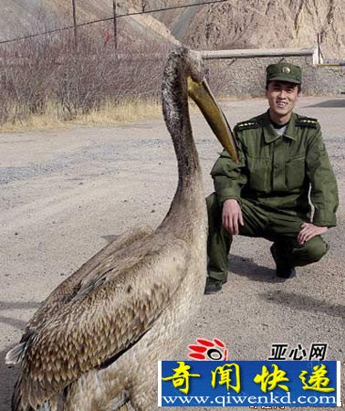 [ͼ]ϡɱѩɽԱѧء