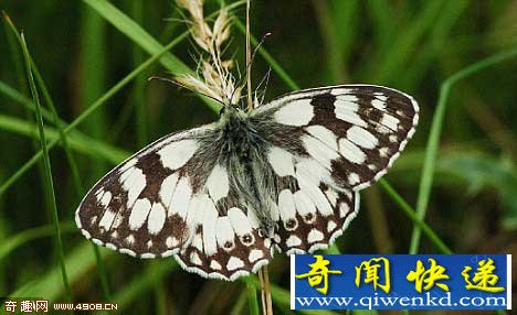 ǨܹúȫůҴ