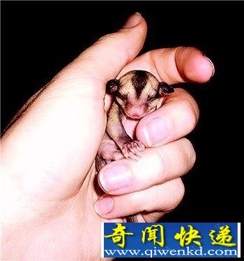 [ͼ]ů ΢Сվ׵