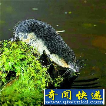 [ͼ]лŴ ֲ״