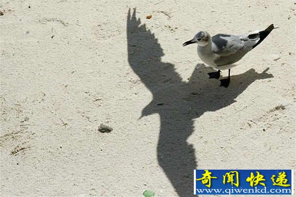 [ͼ]ӰӴ˵ С鶼