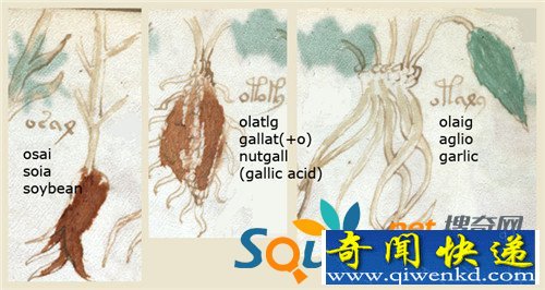 ൽڻ޷ƽ а취