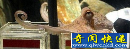 ̵⶯ è1͵70ڿ