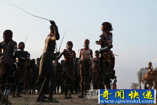 "裸体跳牛":跳过去才可以娶妻(图)