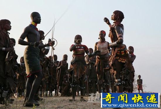 "裸体跳牛":跳过去才可以娶妻(图)