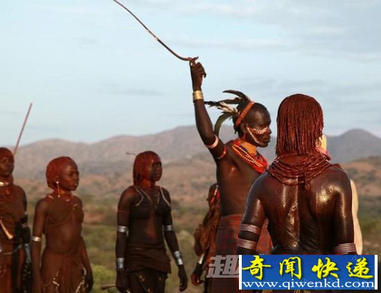 "裸体跳牛":跳过去才可以娶妻(图)