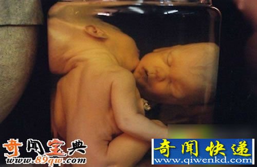 桰ѪӤơȥӤ