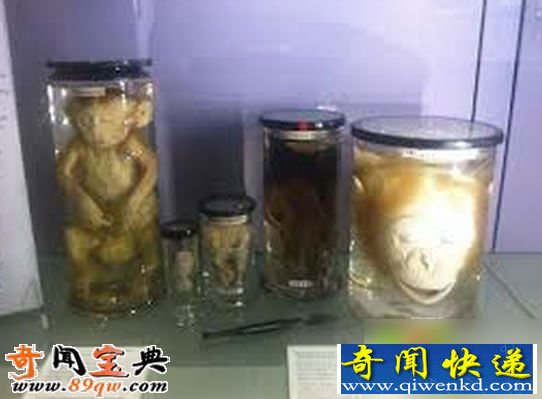 桰ѪӤơȥӤ