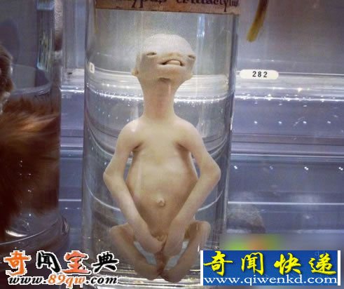 桰ѪӤơȥӤ