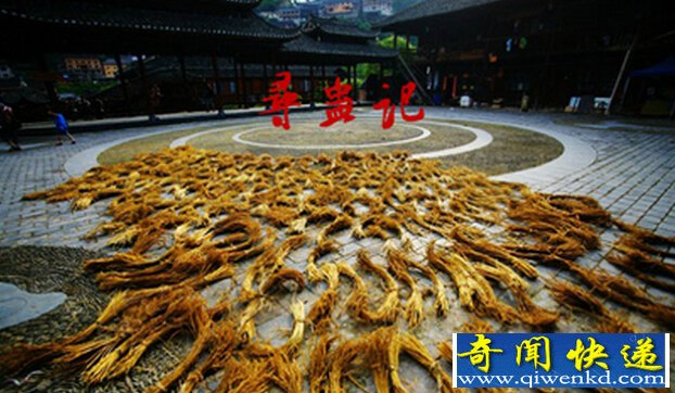 蛊术的定义和其多样化的种类