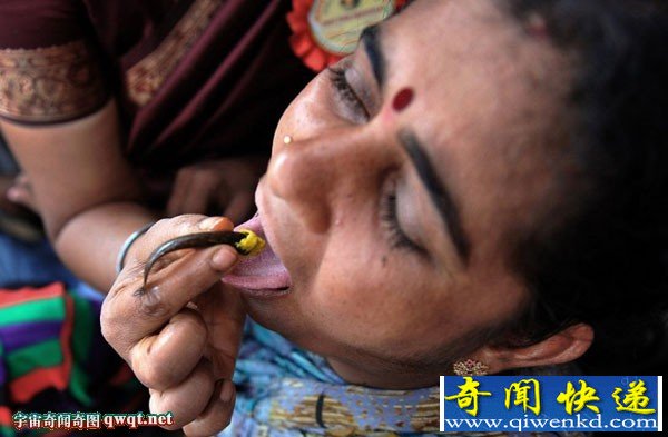 印度数十万民众吞活鱼治疗哮喘病