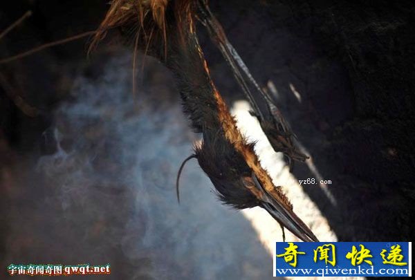 乌干达崇拜巫术 竟割取儿童器官当祭品