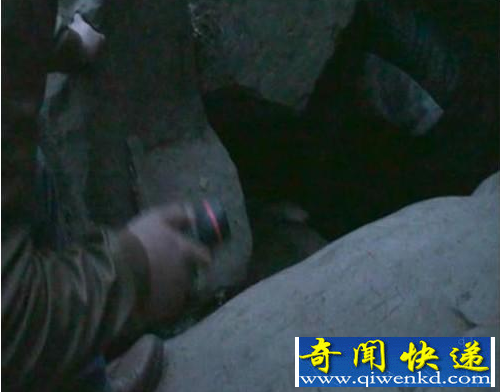 驴友误入妲己墓穴 疑似拍到灵异白狐