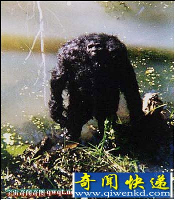 ϱĵԳ¼ƴŹ