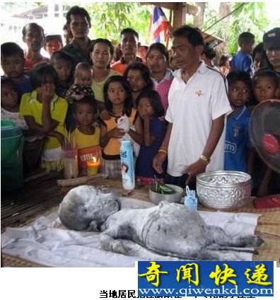 泰国母牛产下人形怪物 居民愚昧当神奉