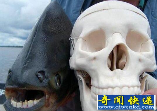 Сˣ̬˳ר˵