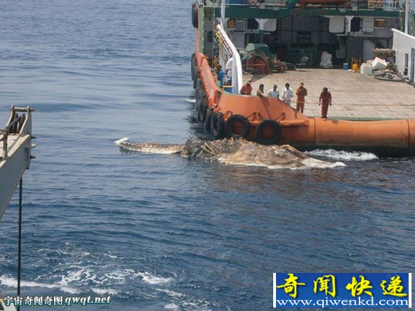 ʺֹ캣ʬƯں Լ15