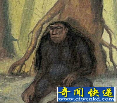 异种人类？印尼发现酷似人类的小脚怪