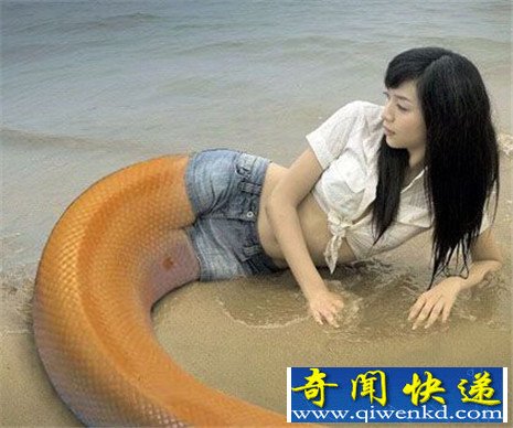 ӡͷ 䱳ວ