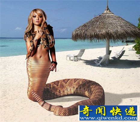 ӡͷ 䱳ວ