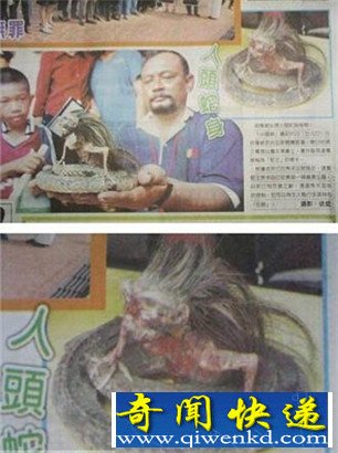 ӡͷ 䱳ວ