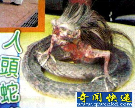 ӡͷ 䱳ວ