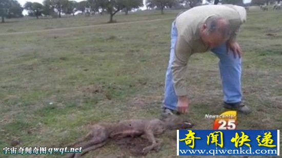 美夫妇捕获神秘物种 神秘动物疑为吸血怪兽