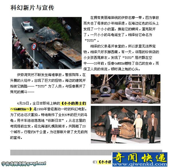 渔民抓到数吨重千年神龟的真相 揭秘真假图片