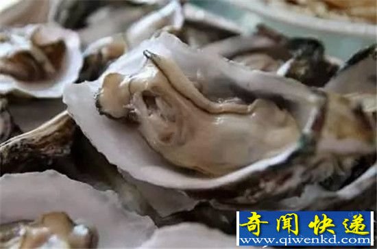 丹麦生蚝泛滥成灾 海岸满满都是生蚝网友:赶紧带我办签证!