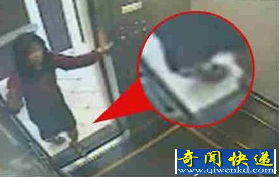 蓝可儿事件将拍纪录片 李昌钰博士揭秘死亡真相