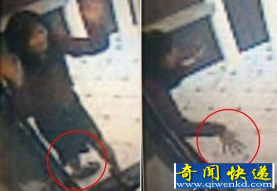 蓝可儿事件将拍纪录片 李昌钰博士揭秘死亡真相