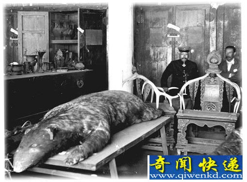 清宁宫怪兽照片