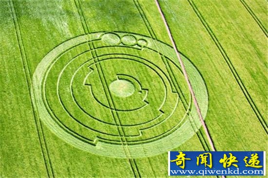 麦田怪圈预示灾难来临?自然界致命符号
