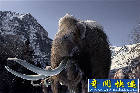 冰河时代末期 物种大灭绝竟是人类造成