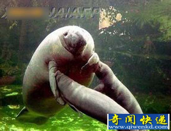 儒两