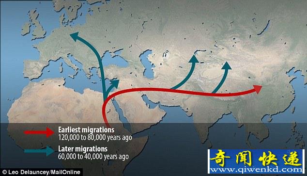 如果它没有灭绝,很可能是日本人的祖先