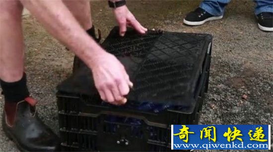 男子在湖中发现神秘箱子 打开之后惊呆了!