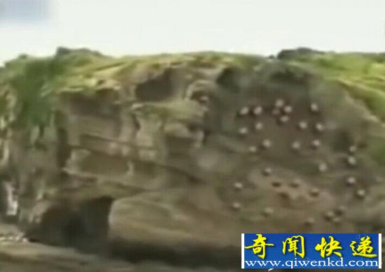 男子在海边发现了神秘生物 太可怕了!