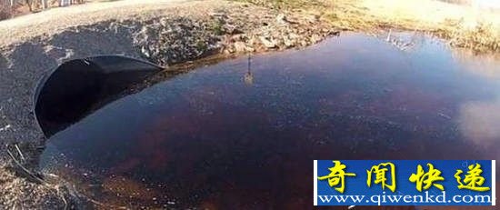 男子在水中拍照 竟无意间拍到了它!