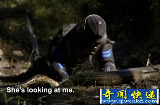 男子被巨型蟒蛇一口吞下 结果太惨了!
