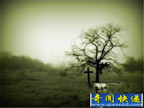 男子在父亲坟前看到这一幕 顿时被震惊了!