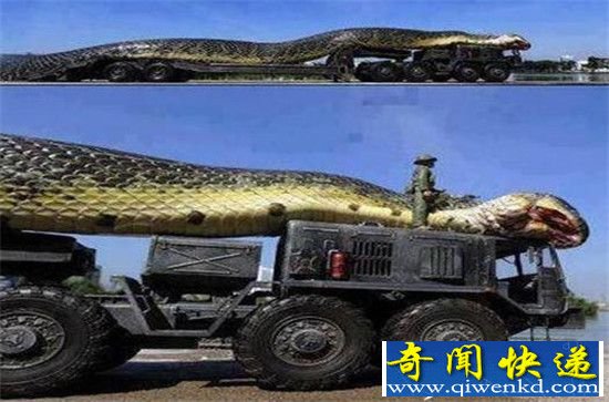 水库炸出巨蟒 竟有140岁成精了震惊?