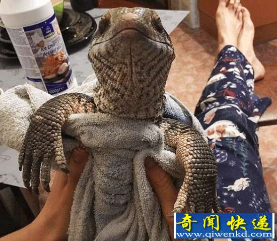 男子在探险时发现奇异生物 带回家之后惊呆了!