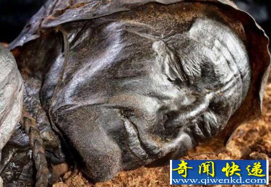男子在沼泽处发现具尸体 知道真相被震惊了!