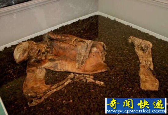 男子在沼泽处发现具尸体 知道真相被震惊了!